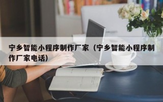 海东宁乡智能小程序制作厂家（宁乡智能小程序制作厂家电话）