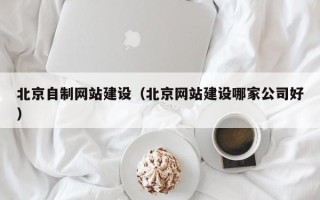海东北京自制网站建设（北京网站建设哪家公司好）